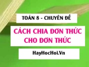 Cách chia đơn thức cho đơn thức, Phát biểu quy tắc, Ví dụ và Bài tập Toán 8